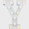 LED LETTER LIGHT Y